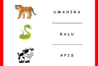 Worksheet Anak Seri Hewan Worksheet Anak Seri Hewan